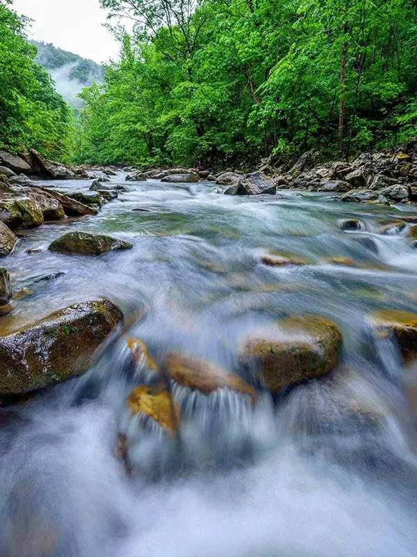 Beech Creek