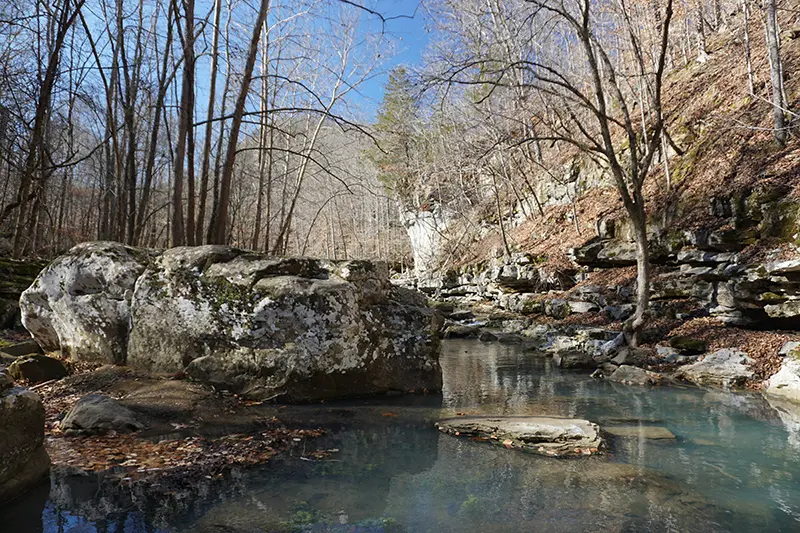 Beech Creek