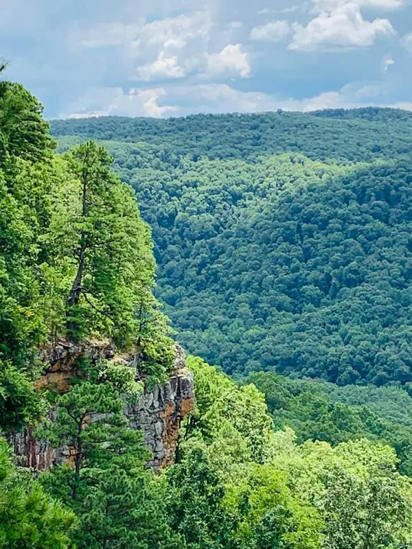 View from Compton Rock looking into Beech Creek Hollow