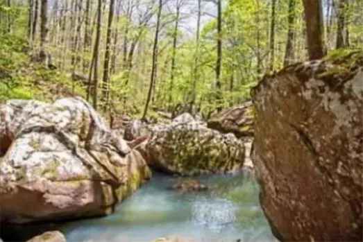 Creek through rocks