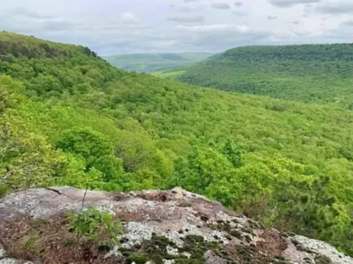Hills with trees