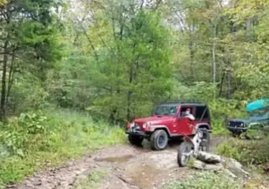 Jeeps on a trail