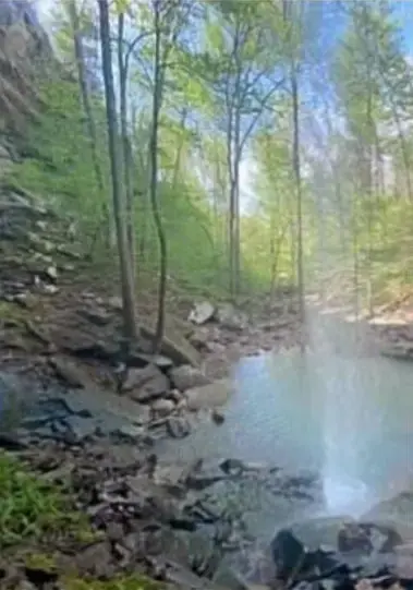 Pond in the rocks