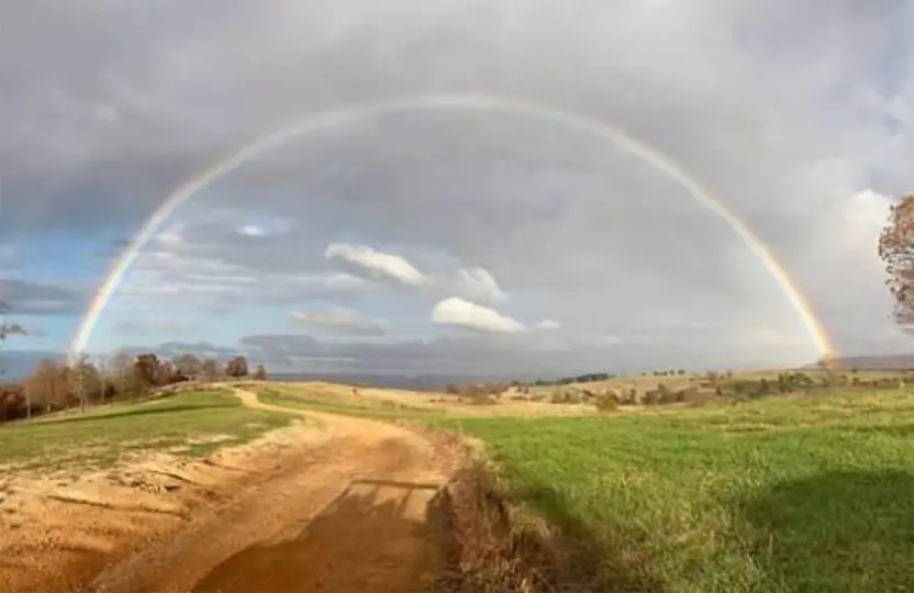 Rainbow