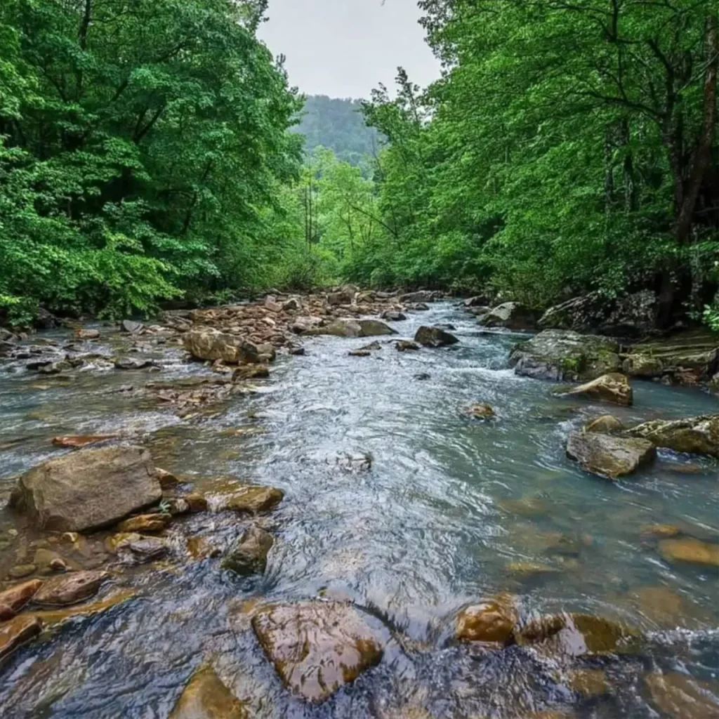 River
