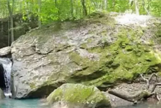 Rocks