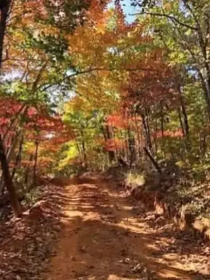 Trail